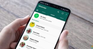 Cara Upload Video di Status Whatsapp Tanpa Aplikasi