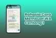 Cara Whatsapp Centang Satu Tapi Online Tanpa Aplikasi, 100 % Sukses